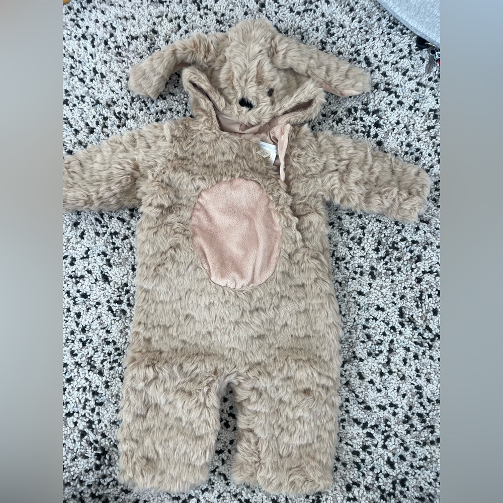 Pottery barn dog costume infant 0-6 month